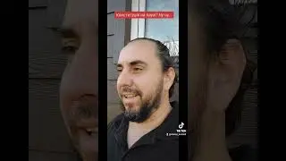 Конституция на паузе.....Так ли это? И что это значит...