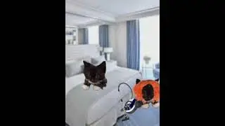 #ЧТО ПРОИСХОДИТ УБОРКА НОМЕРА😂😂😂!!!!!
