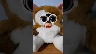 Something's strange with Gizmo #furby #gizmo