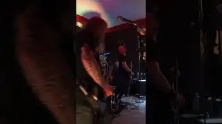 STUBORA #Live #metal #metalrock  #rock #heavymetal #music #alternativemetal #rockmusic #heavy
