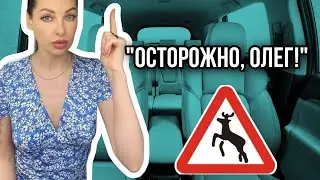 Дорожный знак «Осторожно,Олег»