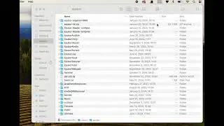 The Easiest Method to Show Hidden Files/Folders on a Mac (Using Terminal)
