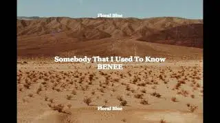 BENEE - Somebody That I Used To Know