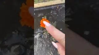 Для человека с бешенным темпом жизни - это самый крутой релакс🙏🏻