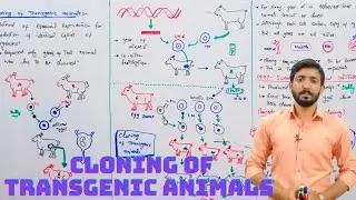 Cloning of transgenic animals | Biology 12th | Chapter 23 | Lecture 11