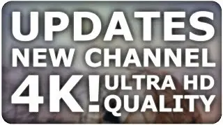 I'M ALIVE! :D | Update Video