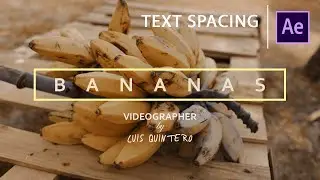 Animated Text Spacing/ Text Tracking in After Effects - Co giãn kí tự  | AE CC 2020