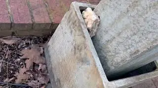 Inspecting Hardscape in Preparation for Spring