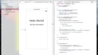 iOS Animation with Swift Delay & Completion Parameter class 8