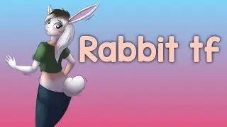 Rabbit tf