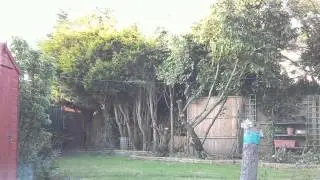 Raspberry PI Camera - Time Lapse Example
