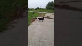 5 Мия и Маша лучшие подружки. Два 