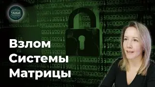 TamaYA💯Hacking the Matrix System Exit from the Mind