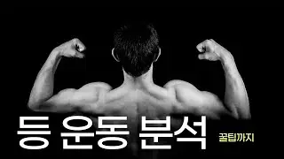 등 운동 분석 요청 (밴드 풀업 꿀팁)