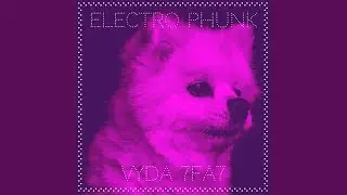 Electro Phunk