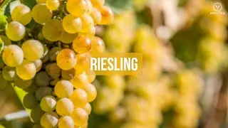 Riesling