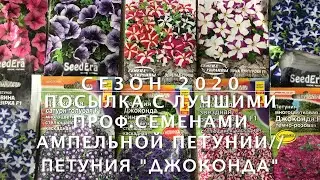 Сезон 2020//Посылка с лучшими проф. семенами ампельной петунии//Петуния 