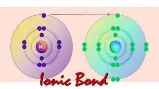 IONIC BOND | Sir Marlon