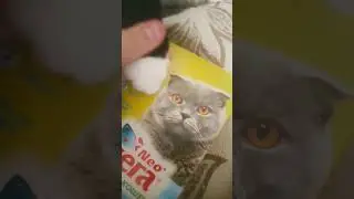 АААААА