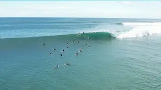 Wave of the Winter Contenter