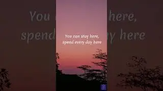 AMAZING (Lyrics) Rex Orange County 