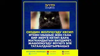 КЫЗЫКТУУ ФАКТ! КАНАЛГА КАТТАЛУУНУ УНУТПАҢЫЗ!
