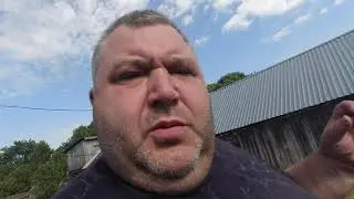 совет ветврача,чем проколоть месячных телят упавших на ноги