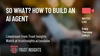 So What? How To Build an AI Agent
