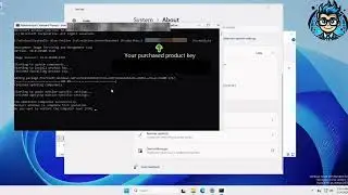 Windows Server 2025 Standard Convert Evaluation  to Professional