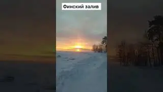 Финский залив. 2 января