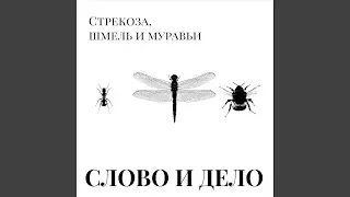 Психолог ищет ключи