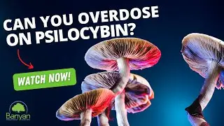Can you overdose on Psilocybin?
