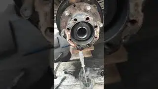 Adjusting the rear axle hub bearing on a Gazelle Next