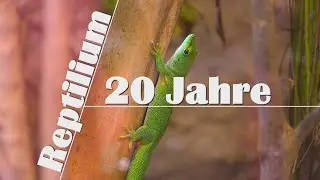 20 Jahre Reptilium Landau | exklusive Führung |  Gäste: 