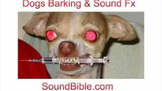 Dog Barking Sounds