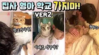 (ENG sub) Ver.2 The Series of  