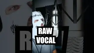 HARDEST FL STUDIO VOCAL PRESET 