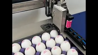 EP 111Y Egg Coding Machine