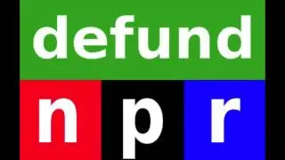 NPR blames American right wing extremist for the Boston Marathon Bombing