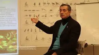 о пище