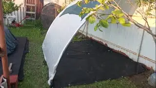 Маленькая площадка для гортензий🌺 и других черенков🌱