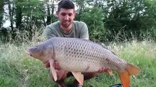 STARBAITS - INSIDE SESSION 5, 48H SUR COURANTS ALTERNATIFS