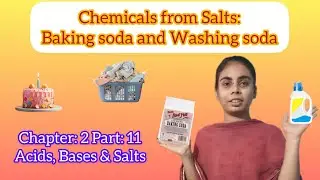 L : 2 Part :11 Chemicals from Salts - Baking soda & Washing soda | Science for Class 10th (2023-24)