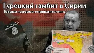 Роль Турции в сирийском кризисе