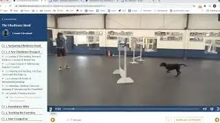 Sneak Peek Inside Connie Cleveland's Obedience Road Membership Program