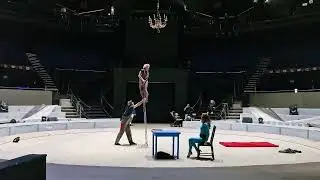 CIRCUL PITY SCARA
