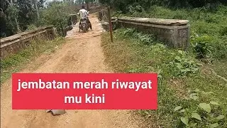 trip ke kawasan register sriwidodo panen jeruk di kebun adek