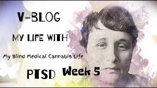PTSD  V-Blog week 5