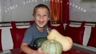 Радуга