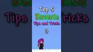 Top 5 Terraria Tips and Tricks